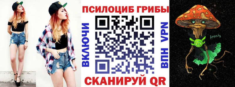 что такое   Катайск  Псилоцибиновые грибы Cubensis 